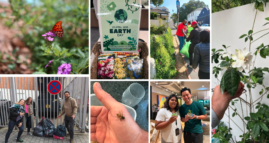 Earth Month Linkedin collage 2024