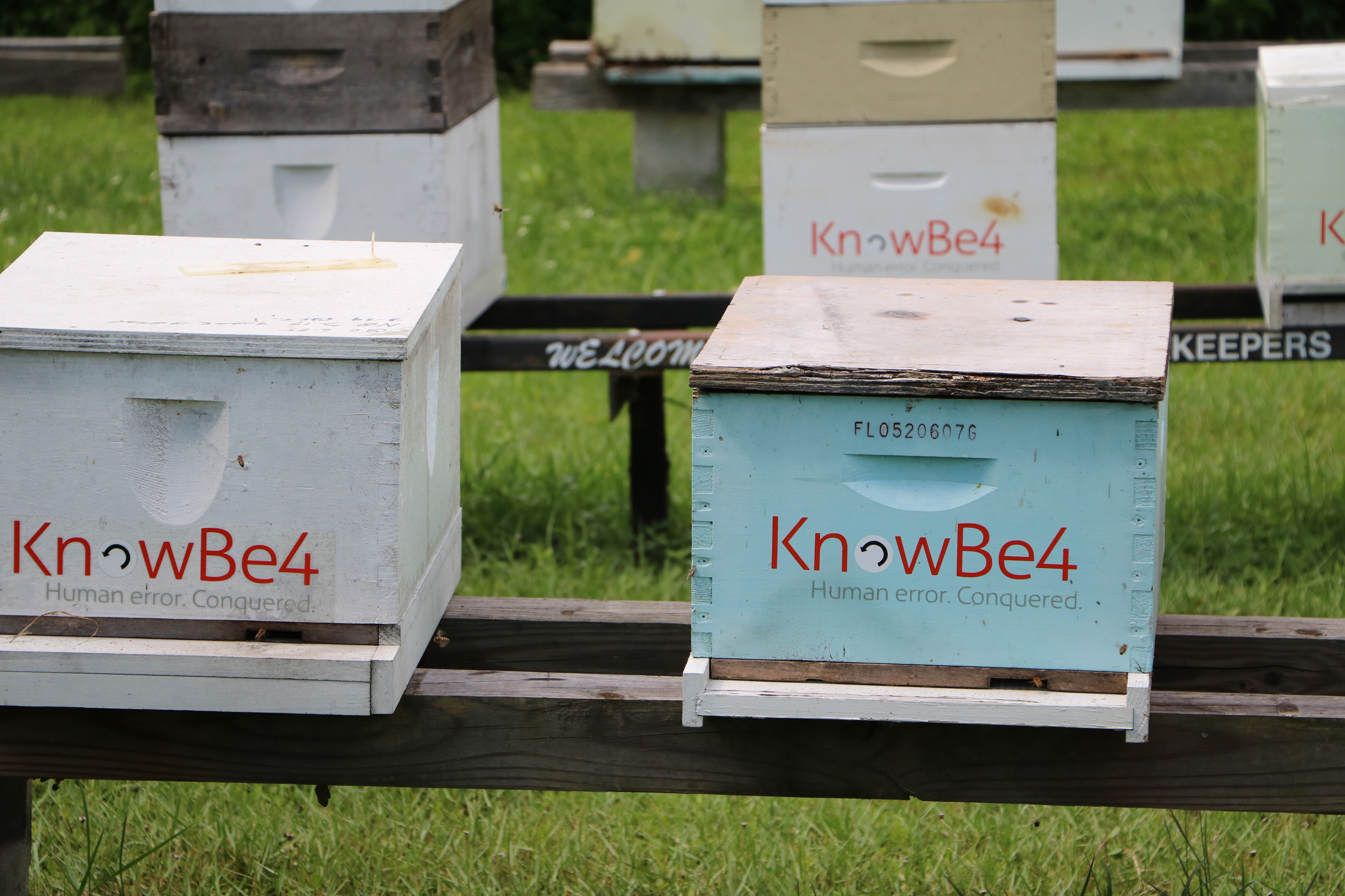 KB4 beehives