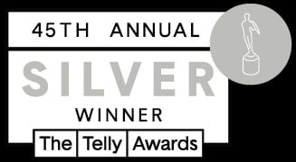 Telly_45th_Winners_Badges_silver_winner