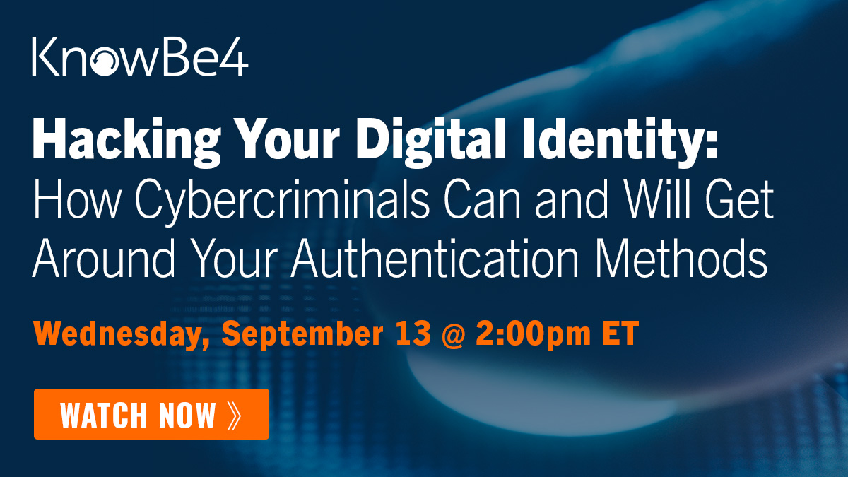 Will They Steal Your Digital Identity?